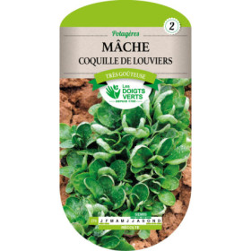 Mâche Coquille de Louviers Les Doigts Verts