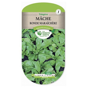 Mâche Ronde Maraîchère Les Doigts Verts Résistante Gel