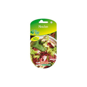 Mesclun "Les Doigts Verts" : Graines de Salade Variées