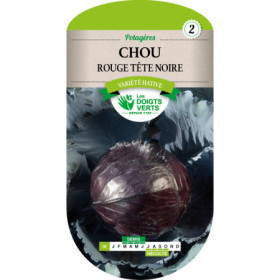 Chou Rouge Tête Noire Les Doigts Verts Hâtif
