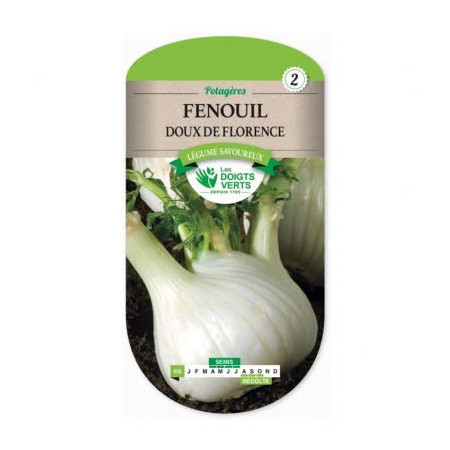 Fenouil Doux de Florence Graines Les Doigts Verts