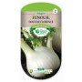 Fenouil Doux de Florence Graines Les Doigts Verts