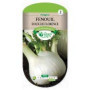 Fenouil Doux de Florence Graines Les Doigts Verts