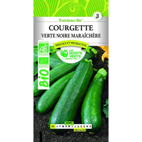 Courgette Verte Noire Maraîchère Bio Les Doigts Verts