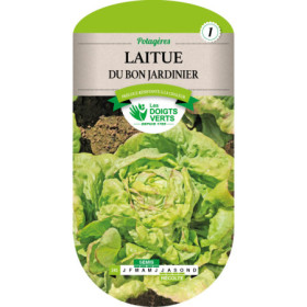 Laitue du Bon Jardinier Les Doigts Verts Été