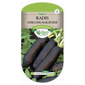 Graines Radis Noir Long Maraîcher Les Doigts Verts