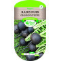 Radis Noir Gros Rond d'Hiver Les Doigts Verts