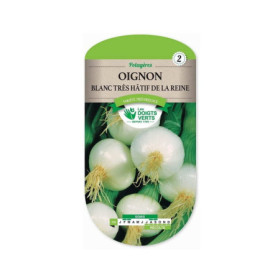 Oignon Blanc Très Hâtif de la Reine - Les Doigts Verts
