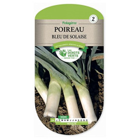 Poireau Bleu de Solaise Résistant au Froid Hiver
