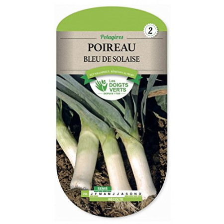 Poireau Bleu de Solaise Résistant au Froid Hiver