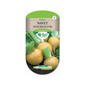 Navet Jaune Boule d'Or Les Doigts Verts