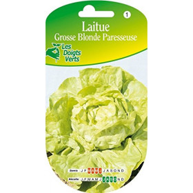 Laitue Grosse Blonde Paresseuse Graines Les Doigts Verts