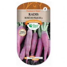 Radis Rose de Pâques Graines Variétés Anciennes