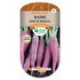 Radis Rose de Pâques Graines Variétés Anciennes