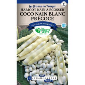 Graines Haricot Coco Nain Blanc Précoce Les Doigts Verts