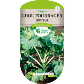 Chou Fourrager Protéor - Alimentation Animale Hiver