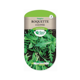 Roquette Cultivée Saveur Épicée Les Doigts Verts