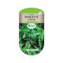 Roquette Cultivée Saveur Épicée Les Doigts Verts