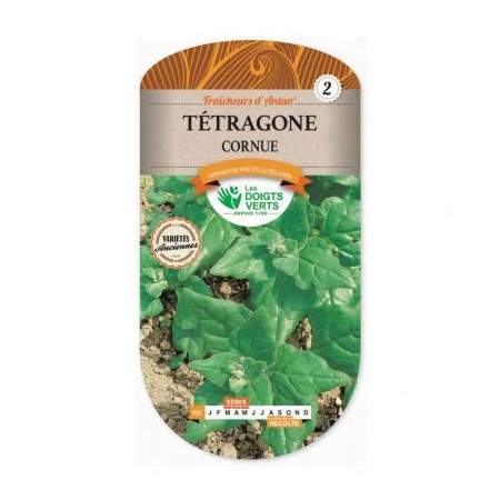 Tétragone Cornue Fraîcheurs d'Antan Graines Épinard Nouvelle Zélande