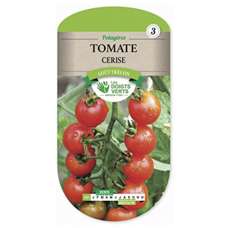 Tomate Cerise Goût Fin Les Doigts Verts
