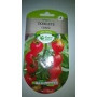 Tomate Cerise Goût Fin Les Doigts Verts