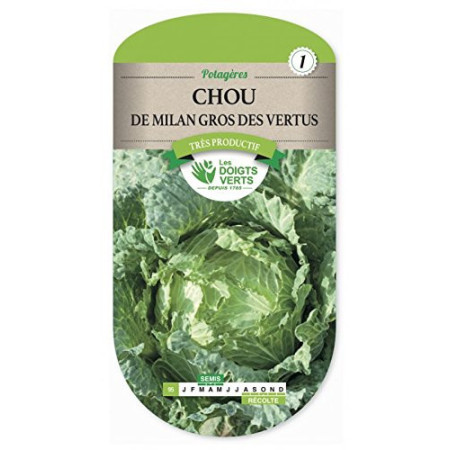 Chou de Milan Gros des Vertus Les Doigts Verts