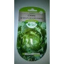 Chou de Milan Gros des Vertus Les Doigts Verts