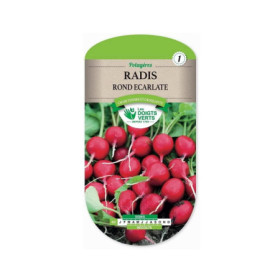 Radis Rond Ecarlate Les Doigts Verts - Graines Potager