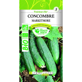 Concombre Marketmore Bio : Graines Potager Sans Amertume