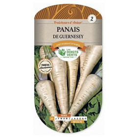 Panais de Guernesey Fraîcheurs d'Antan Graines Potagères
