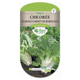 Chicorée Scarole Cornet Bordeaux Les Doigts Verts