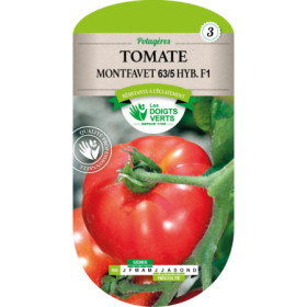 Tomate Montfavet F1 Hybride : Coulis & Sauces Précoces
