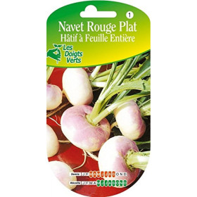 Navet Rouge Plat Hâtif Les Doigts Verts Graines