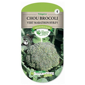 Brocoli Vert Marathon F1 Les Doigts Verts