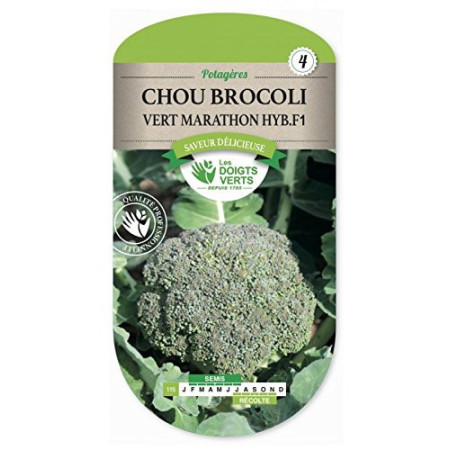 Brocoli Vert Marathon F1 Les Doigts Verts