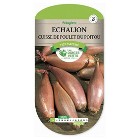 Échalions Cuisse de Poulet du Poitou Les Doigts Verts