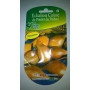 Échalions Cuisse de Poulet du Poitou Les Doigts Verts