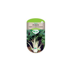 Poirée Verte à Carde Blanche Les Doigts Verts
