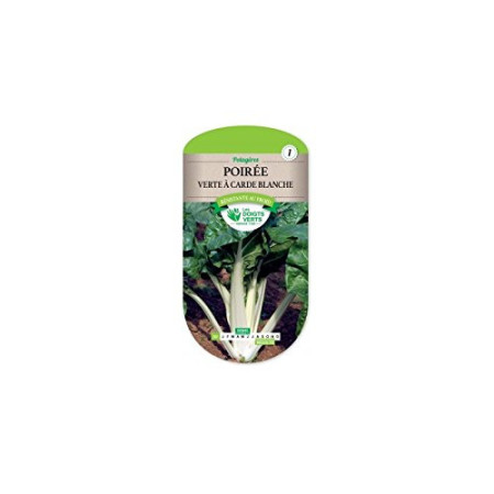 Poirée Verte à Carde Blanche Les Doigts Verts