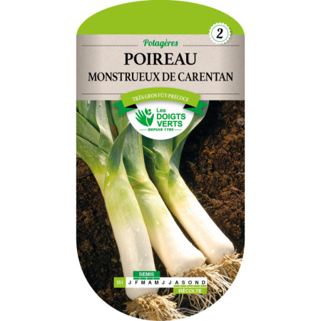 Poireau Monstrueux de Carentan - Les Doigts Verts