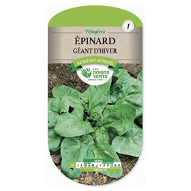 Épinard Géant d'Hiver Les Doigts Verts : Graines Potagères