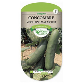 Concombre Vert Long Maraîcher Les Doigts Verts