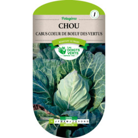 Chou Coeur de Boeuf des Vertus - Les Doigts Verts