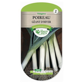 Poireau Géant d'Hiver Les Doigts Verts - 4g de Semences