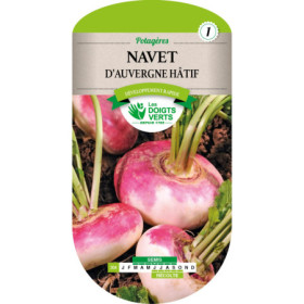 Navet d'Auvergne Hâtif Les Doigts Verts : Semis Facile