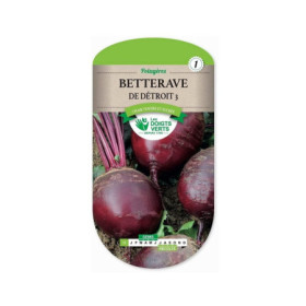 Betterave Detroit 3 Les Doigts Verts : Graines Potager
