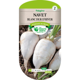 Navet Blanc Dur d'Hiver Les Doigts Verts : Graines