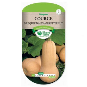 Graines Courge Musquée Waltham Butternut Les Doigts Verts