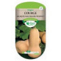 Graines Courge Musquée Waltham Butternut Les Doigts Verts