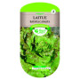 Laitue Batavia Canasta - Graines Potager - Les Doigts Verts